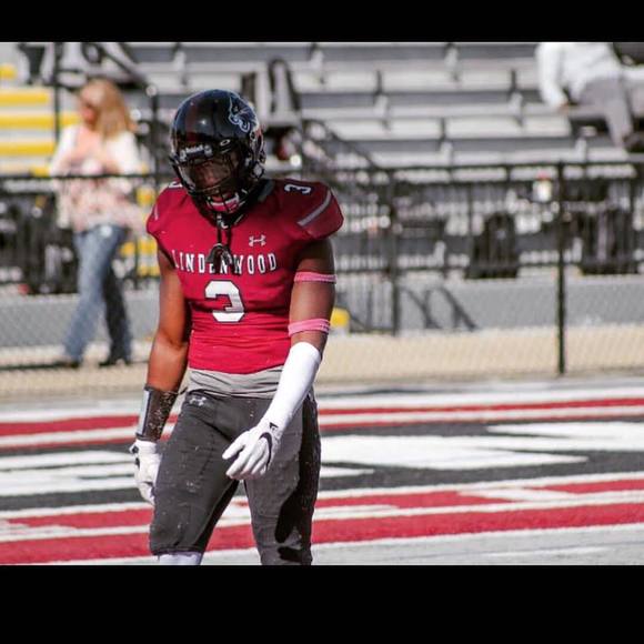 Meet your Posher, Avery - Picture 1 of 1